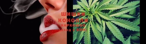 прущие грибы Алексеевка