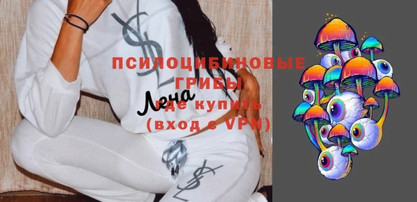 прущие грибы Алексеевка
