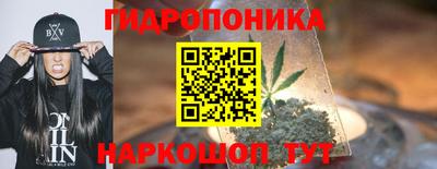прущий лед Новозыбков
