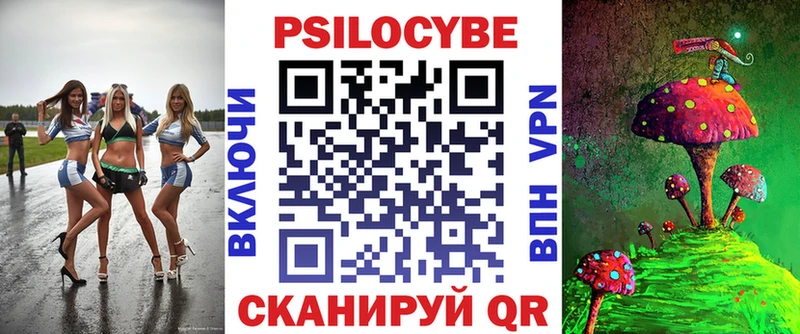 Псилоцибиновые грибы Psilocybe  цены наркотик  Рубцовск 