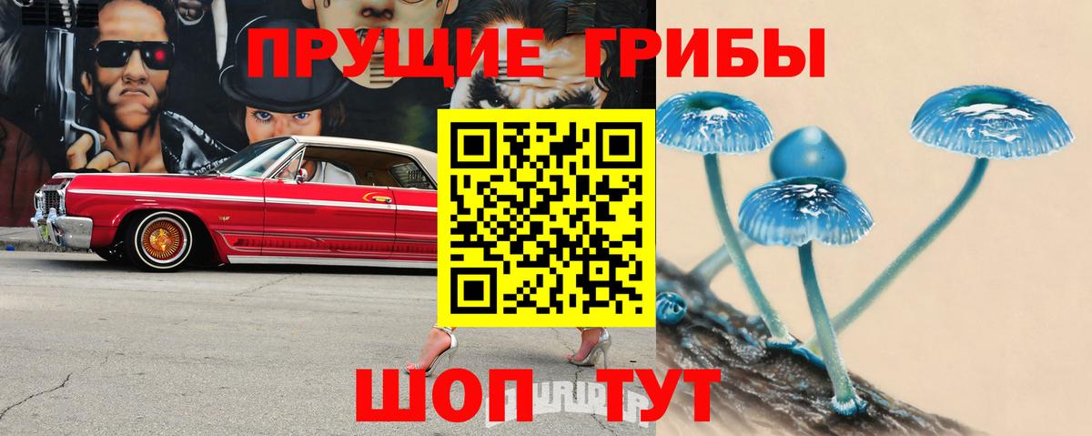 Псилоцибиновые грибы Magic Shrooms Рубцовск
