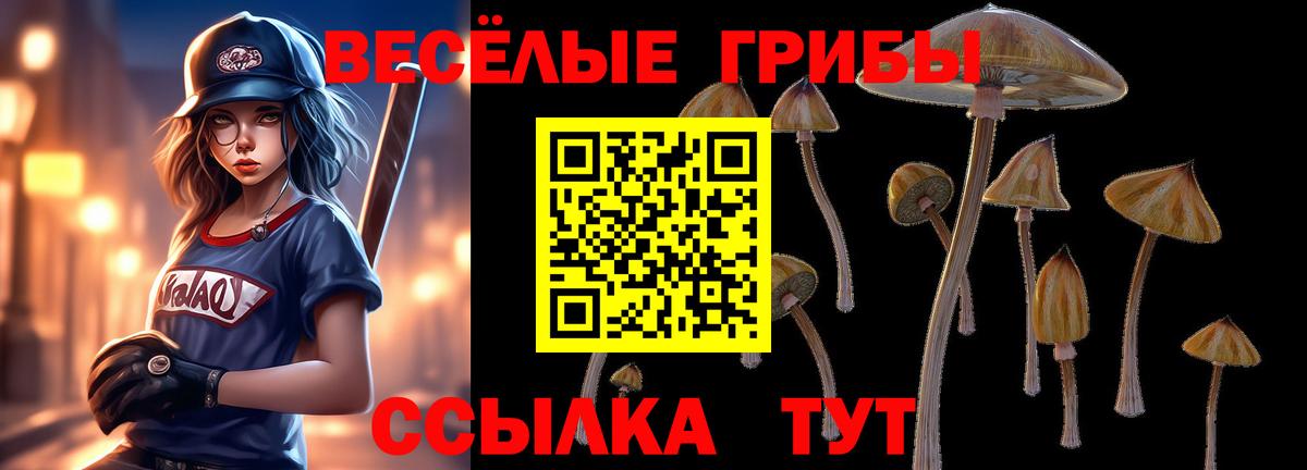 Рубцовск  Галлюциногенные грибы Psilocybe  Вход с VPN  Псилоцибиновые грибы Magic Shrooms 